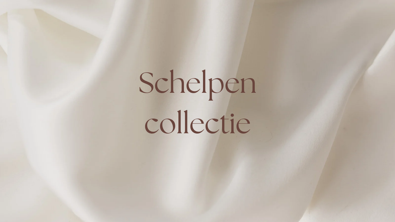 Schelpen collectie
